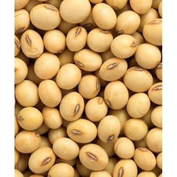 Soya beans