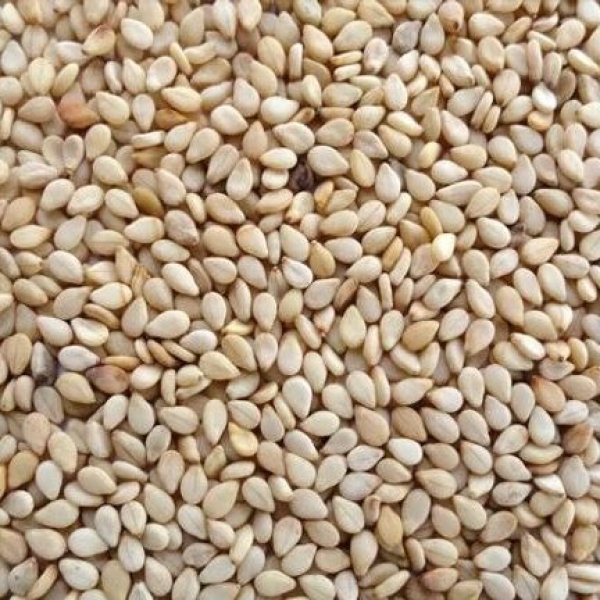 Sesame seeds